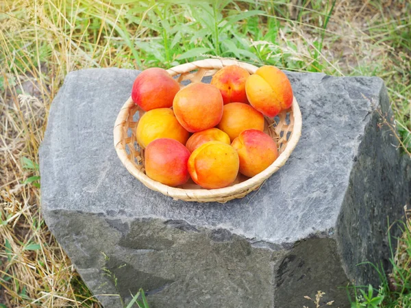 Fruits Abricot Sur Une Soucoupe Osier Debout Sur Une Pierre — Photo