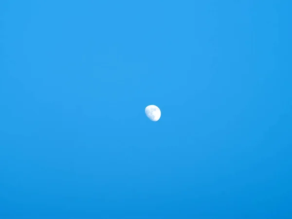 Hold Kék Esti Égbolton Majdnem Telihold Kék Ellen — Stock Fotó