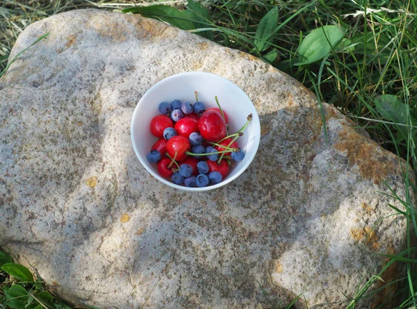 Set Summer Fruits Bowl Fresh Harvest Our Own Garden — Photo