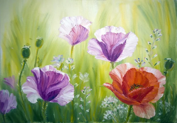 Amapolas al amanecer, pintura al óleo sobre lienzo — Foto de Stock