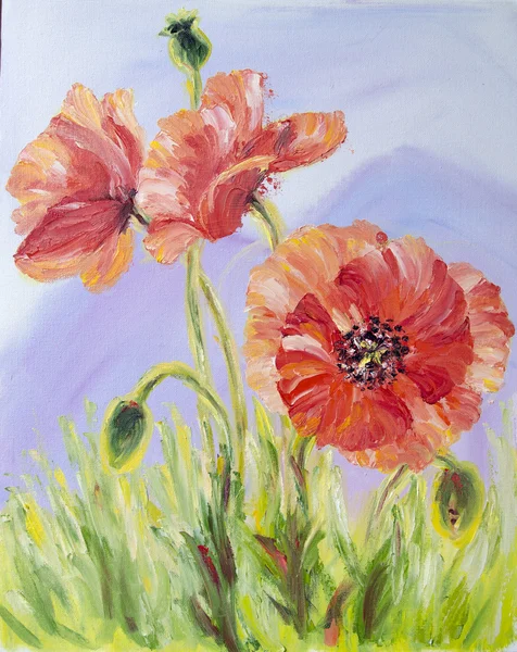 Amapolas, pintura al óleo sobre lienzo — Foto de Stock