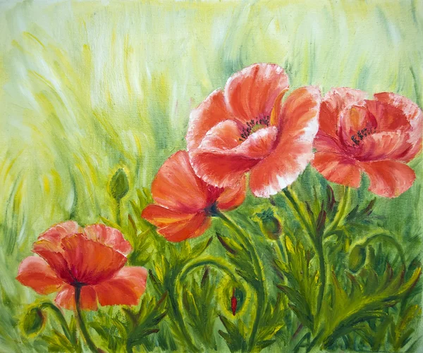 Poppies, , oil painting on canvas — Stock Photo, Image