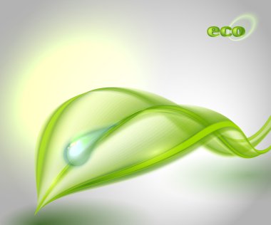 arka plan ile yaprak yeşil