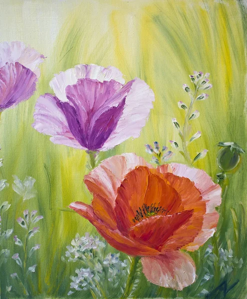 Amapolas en la mañana, pintura al óleo sobre lienzo —  Fotos de Stock