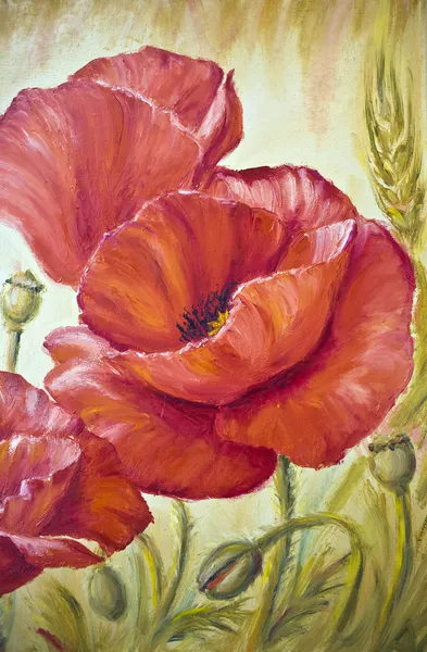 Poppies in wheat, oil painting on canvas — Stock Photo, Image