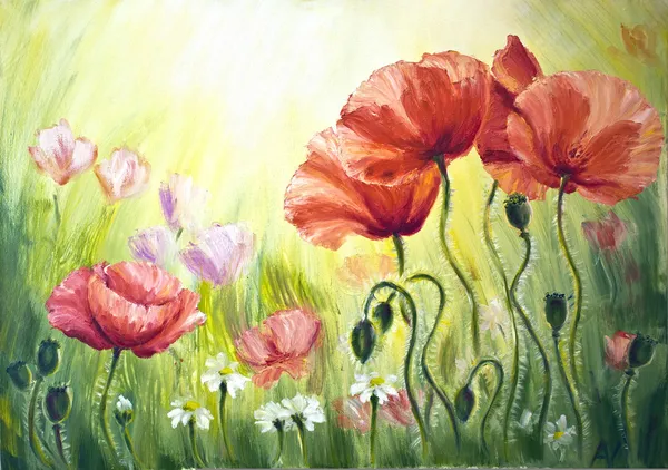 Poppies in the morning, oil painting on canvas — Stockfoto