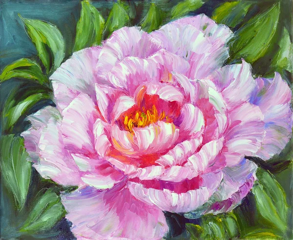 Peony, oil painting on canvas — Stock Photo, Image