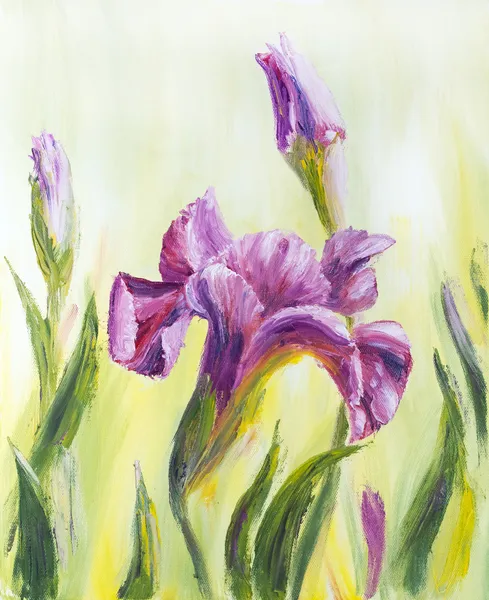 Iris, pittura a olio su tela — Foto Stock
