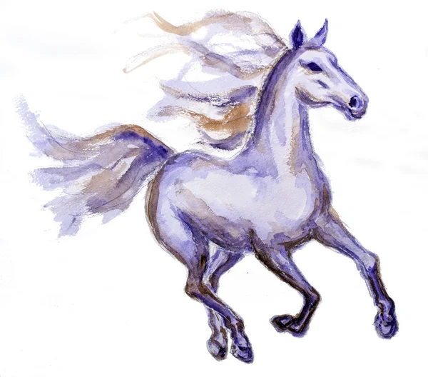 Άλογο σε κίνηση, ακουαρέλα, ζωγραφική — Φωτογραφία Αρχείου
