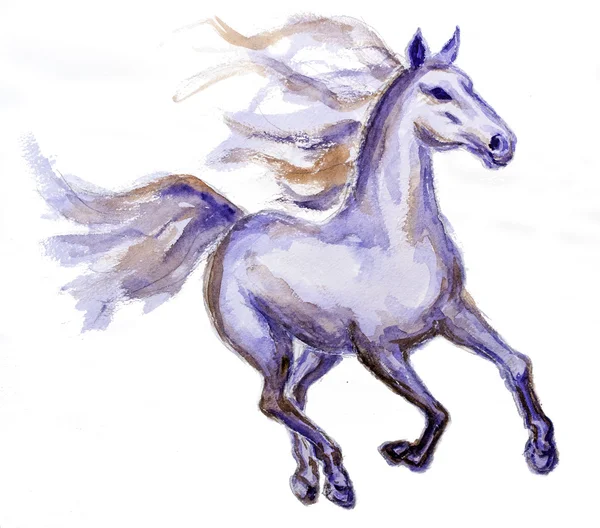 Cheval en mouvement, aquarelle — Photo