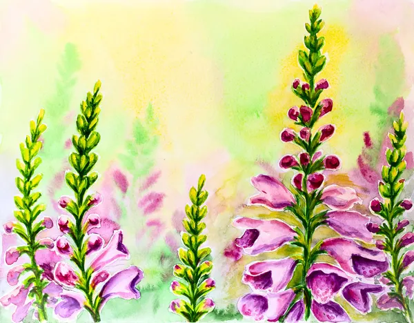 Foxglove flowers, oil painting on canvas — Stock Photo, Image