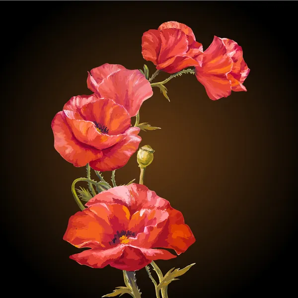 Pintura al óleo. Tarjeta con flores de amapolas — Vector de stock