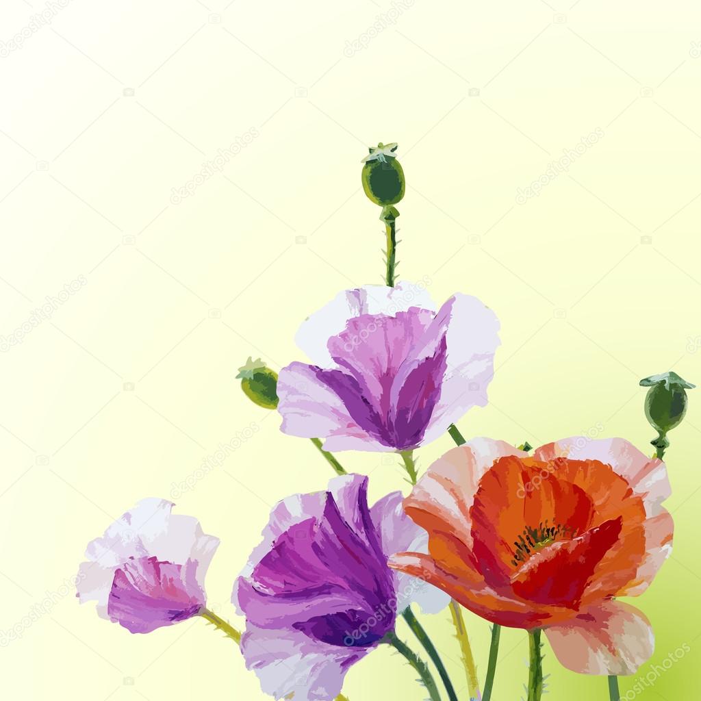 Spring card with poppies flowers