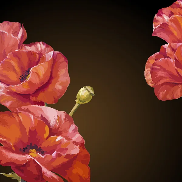 Peinture à l'huile. Carte avec des fleurs de coquelicots sur fond sombre . — Image vectorielle