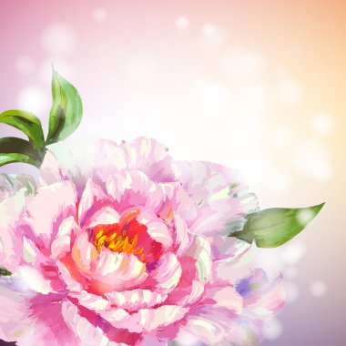 Peonies çiçek arka plan.
