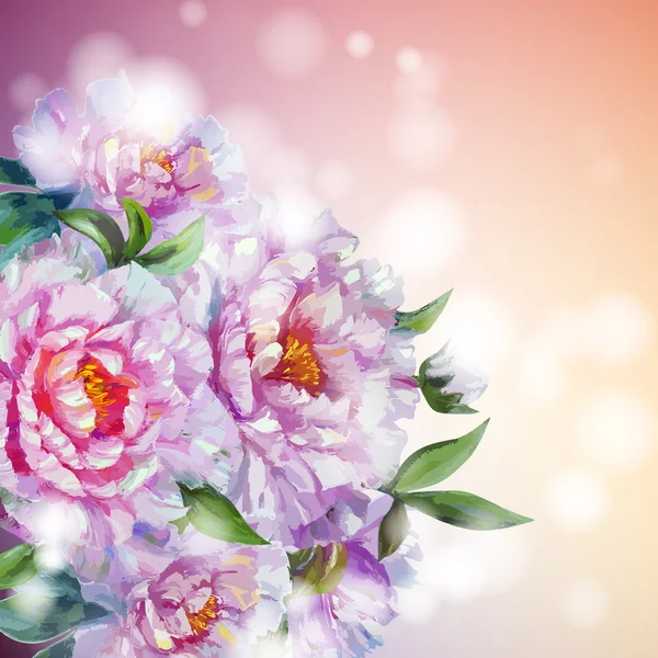 Peonies çiçek arka plan.
