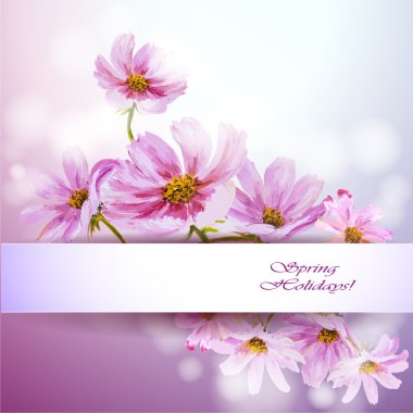 Cosmos flowers background. clipart
