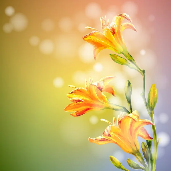 Yellow lilies flowers background.