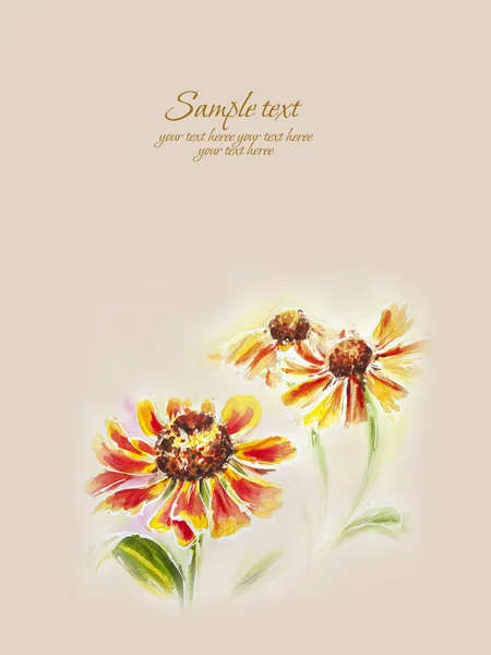 Painted watercolor card with helenium flowers — Stock Photo, Image