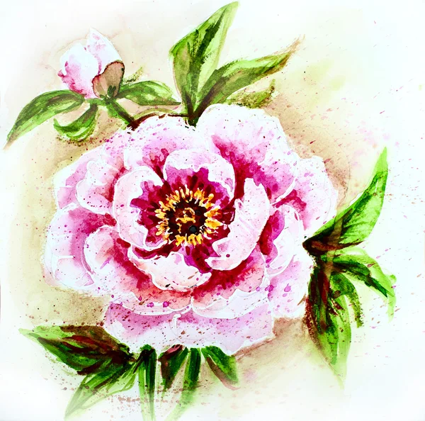 Carta acquerello dipinta con fiore di peonia — Foto Stock