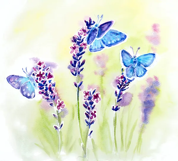 Painted watercolor card with summer lavender flowers and butterflies