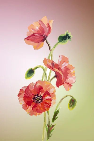 Amapolas. Plantilla de invitación flores de verano — Vector de stock