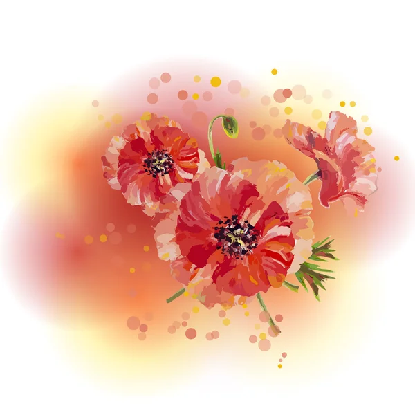 Amapolas. Plantilla de invitación flores de verano — Vector de stock