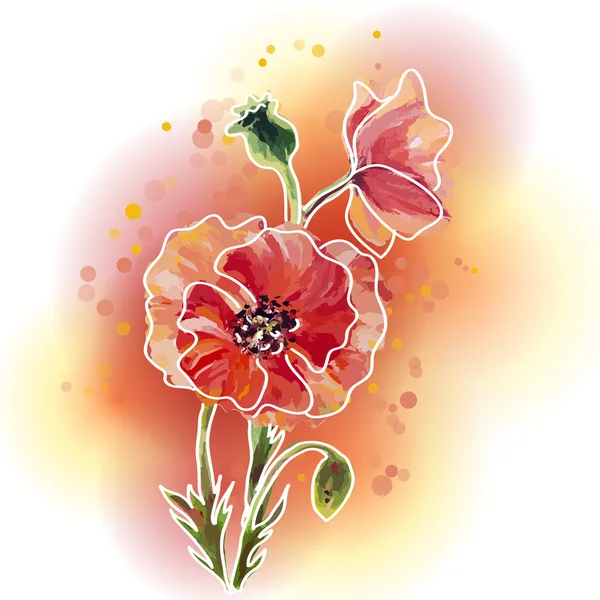 Amapolas. Plantilla de invitación flores de verano — Vector de stock