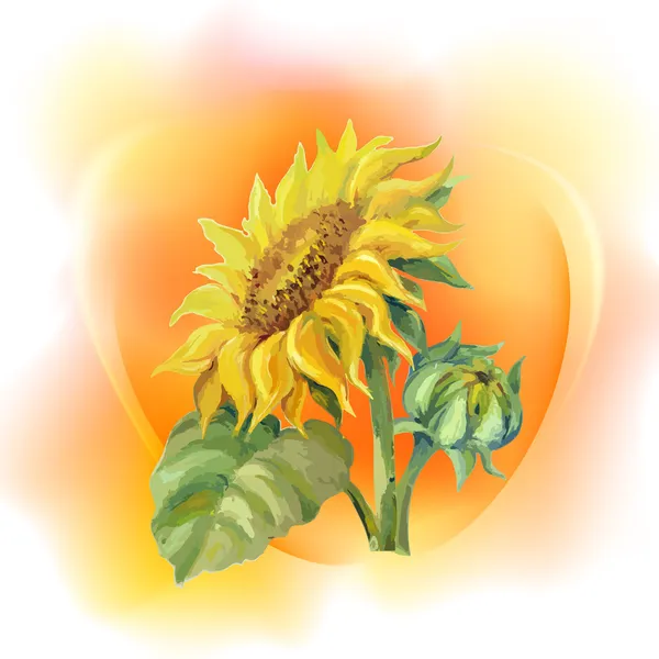 Sunflower background — Stock Vector