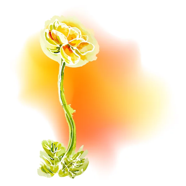 Fleur fond jaune, aquarelle — Image vectorielle