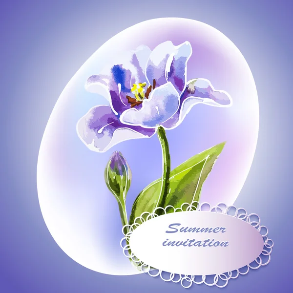 Tulipano viola, pittura ad acquerello . — Vettoriale Stock