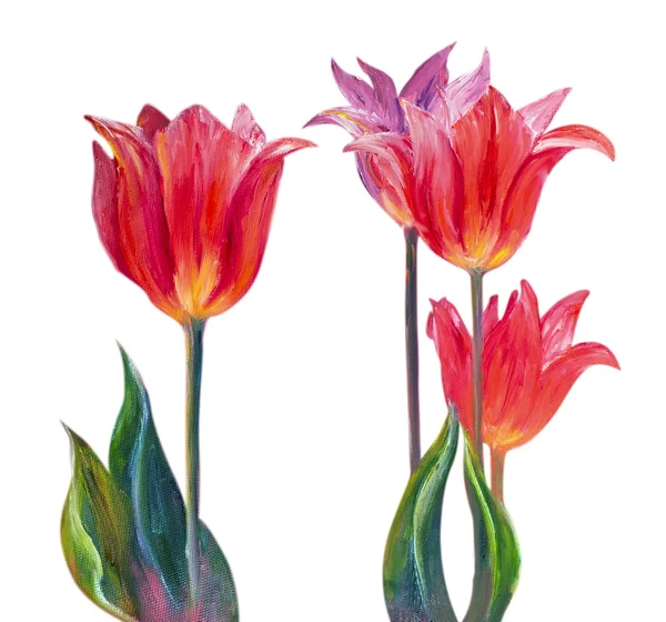 Pictures : tulips to paint | Tulips, oil painting on canvas — Stock ...