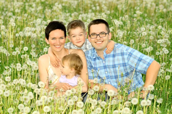 Glückliche vierköpfige Familie auf einem Feld — Stockfoto