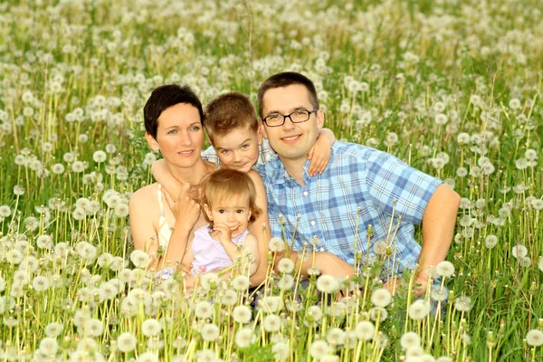 Gelukkige familie van vier in een veld — Stockfoto