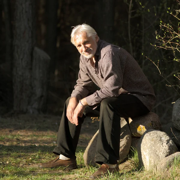 bilge, eski, gri saçlı bir adam portresi