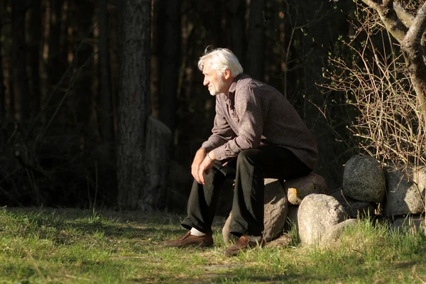 Porträtt av en klok gammal gråhårig man — Stockfoto