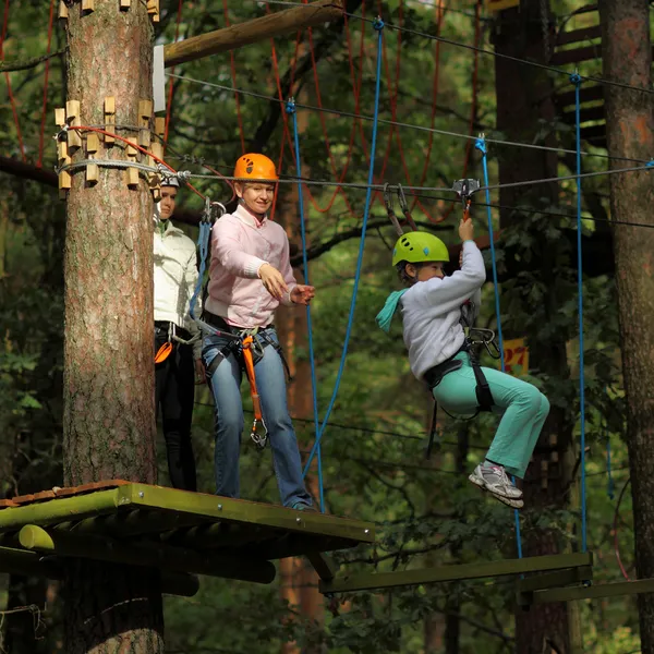 La famille grimpe dans les arbres — Photo