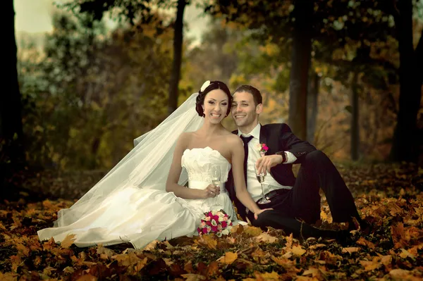 Красиві весільні фотографії Ліцензійні Стокові Зображення