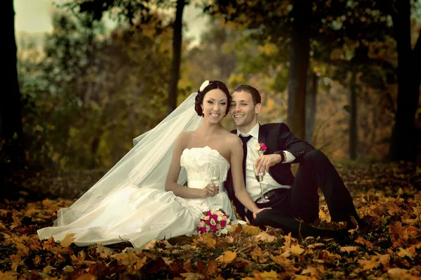 Hermosa boda fotografía Imágenes de stock libres de derechos