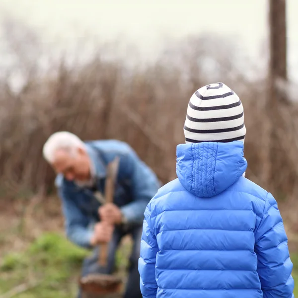 Il nipote sembra che suo nonno abbia spaccato la legna da ardere. — Foto Stock