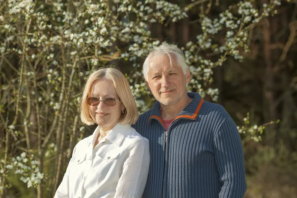 Portret van een mooi ouderen paar buitenshuis — Stockfoto