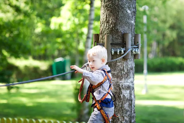 Little boy at a canopy tour — Stock Photo, Image