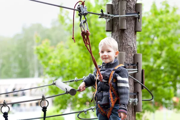 Little boy at a canopy tour — Stock Photo, Image