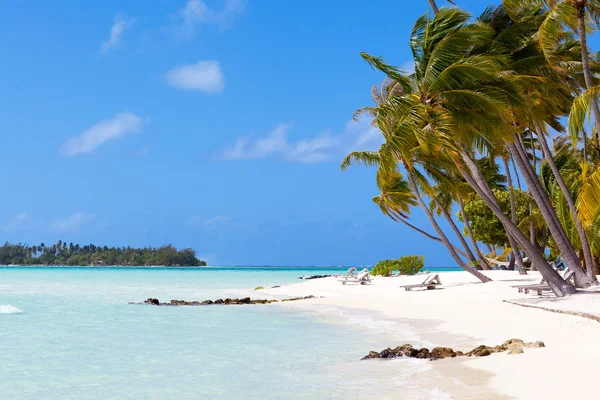 Tropická pláž bora bora — Stock fotografie