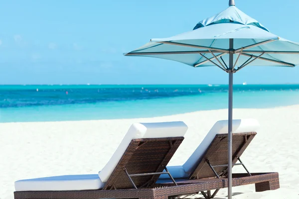 Lettini in spiaggia — Foto Stock