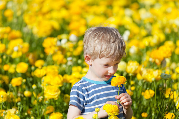 cute boy at the flower field