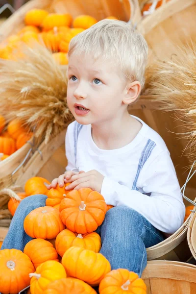 Dziecko na pumpkin patch — Zdjęcie stockowe