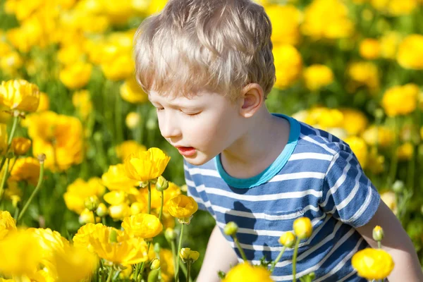 Мальчик на цветочном поле — стоковое фото