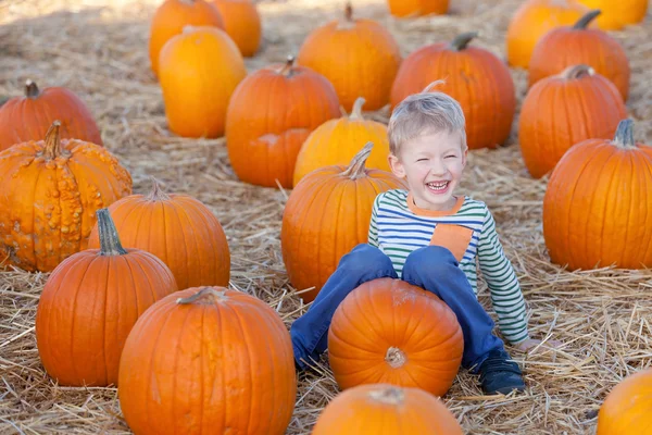 Kid op pompoen patch — Stockfoto