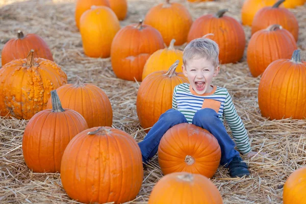 Kid at pumpkin patch — Stock Photo, Image